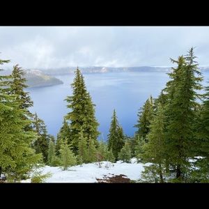 Meet your Posher, William